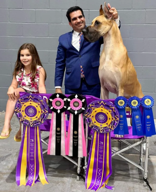 The Importance of Custom Dog Show Ribbons